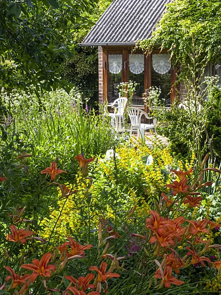 449032 - Allotment garden