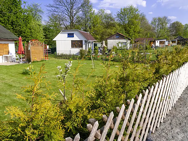 459071 - Allotment garden