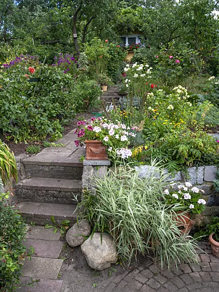 463040 - Allotment garden