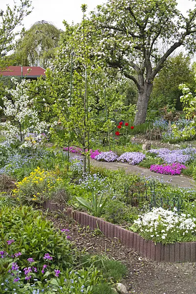 531217 - Allotment garden in spring with flowering shrubs and flowering apple tree in front of a red pergola roof