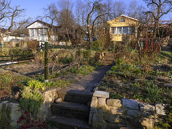 458008 - Allotment garden in winter