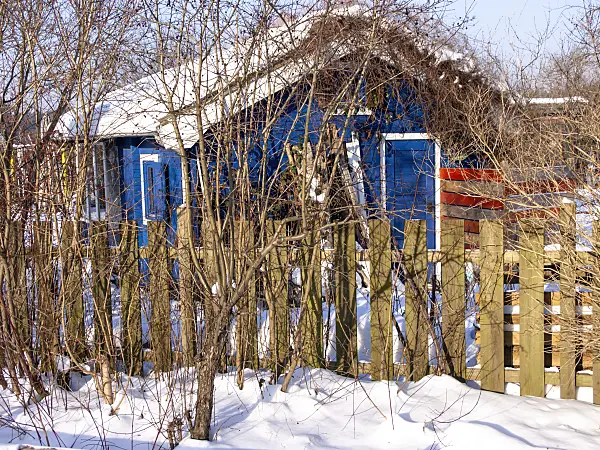 480034 - Allotment garden in winter