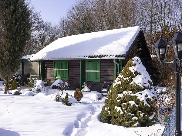 483009 - Allotment garden in winter