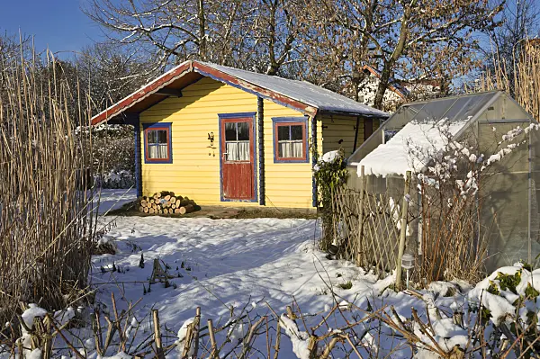 517057 - Allotment garden in winter