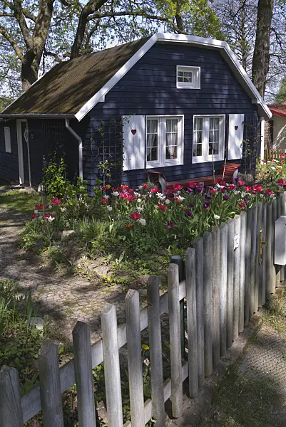 601038 - Allotment garden with blue garden house