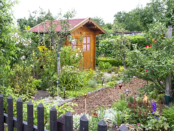474433 - Allotment garden with garden house