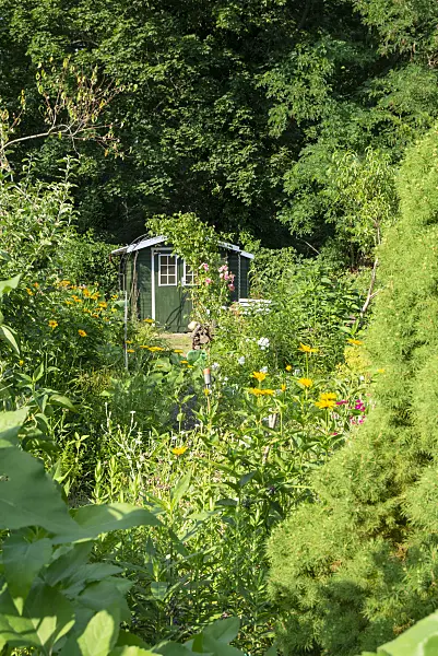 625040 - Allotment garden with garden house