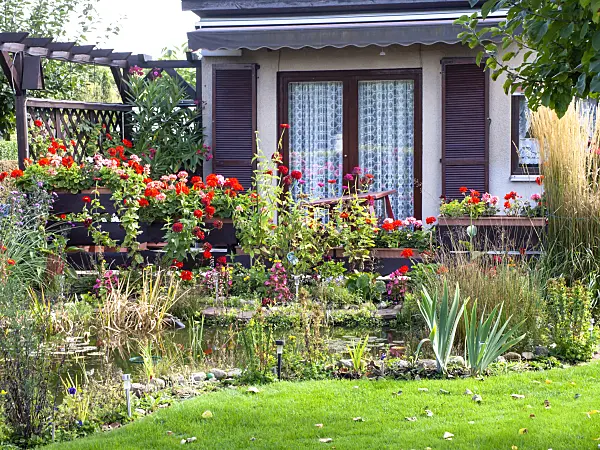 477127 - Allotment garden with garden house and pond