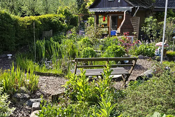 484179 - Allotment garden with garden pond