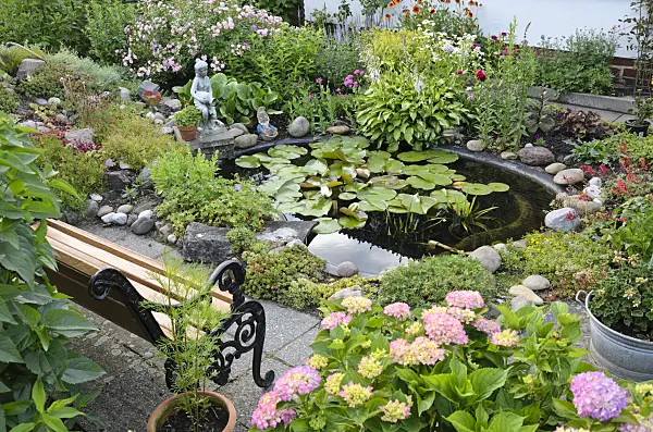 534036 - Allotment garden with garden pond
