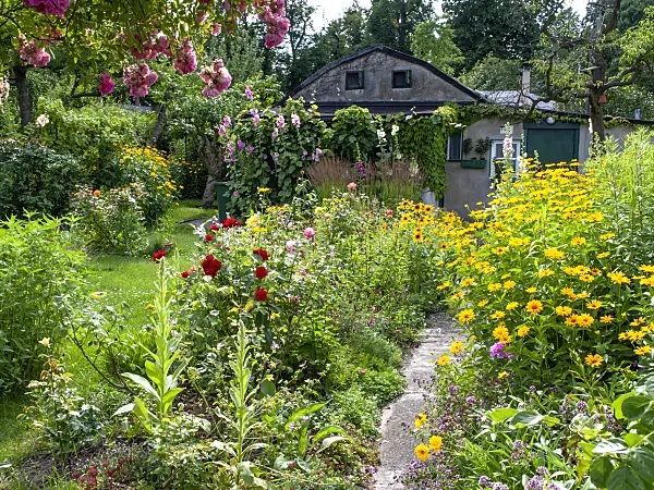 449054 - Allotment garden with old garden house