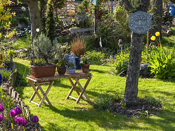 424144 - Allotment garden with potted plants