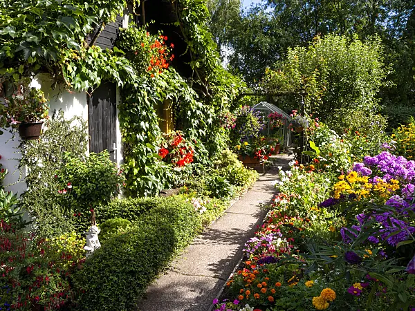 428089 - Allotment garden with summer flowers