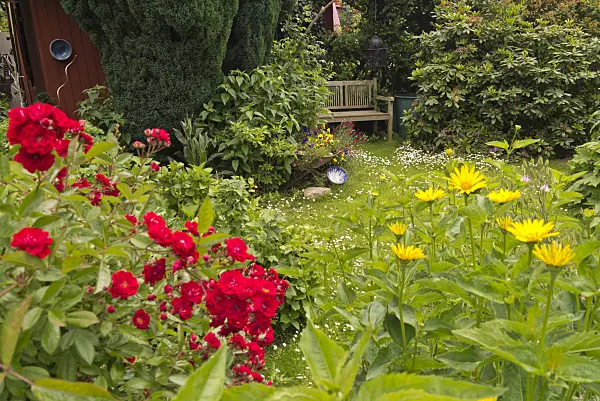 545170 - Allotment garden with wooden bench