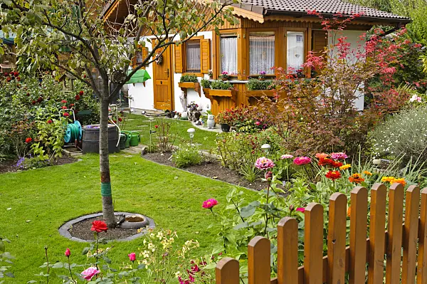 477001 - Allotment garden with wooden house