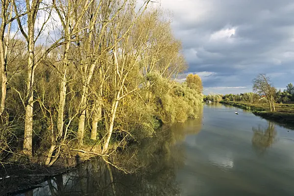 395072 - Alluvial forest at a Rhine branch, Kühkopf-Knoblauchsaue Nature Reserve, Germany