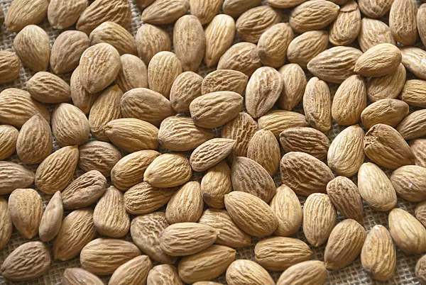 517346 - Almond (Prunus dulcis)