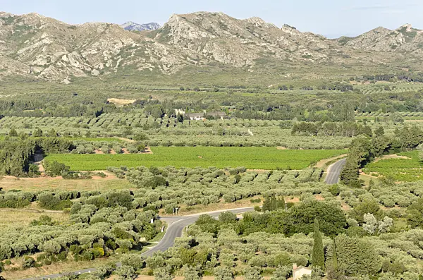 557137 - Alpilles, Provence, France