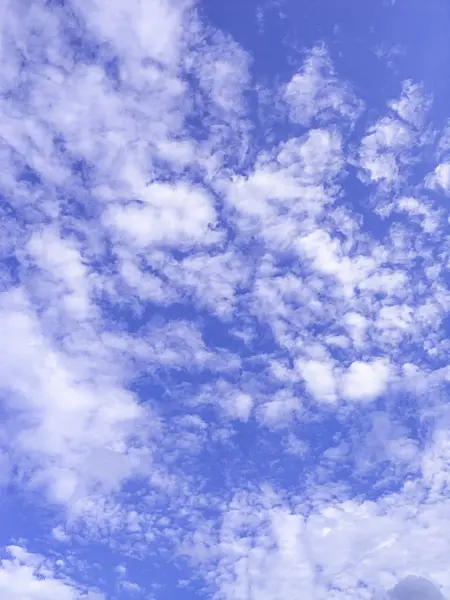 451059 - Altocumulus clouds under a deep blue sky