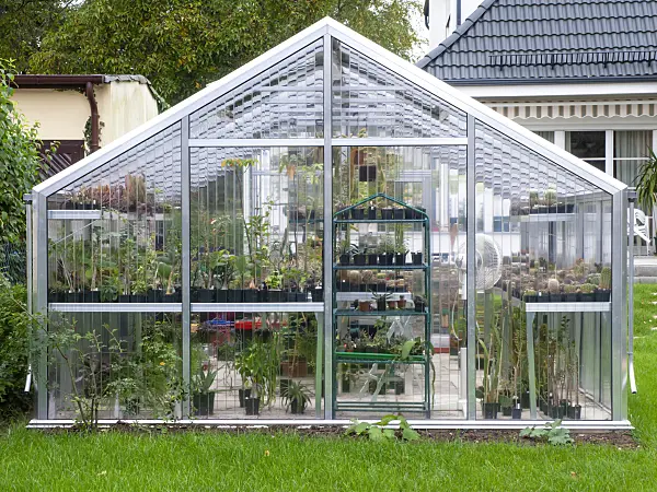 477131 - Aluminium and glass greenhouse with many plant pots and cacti in a garden