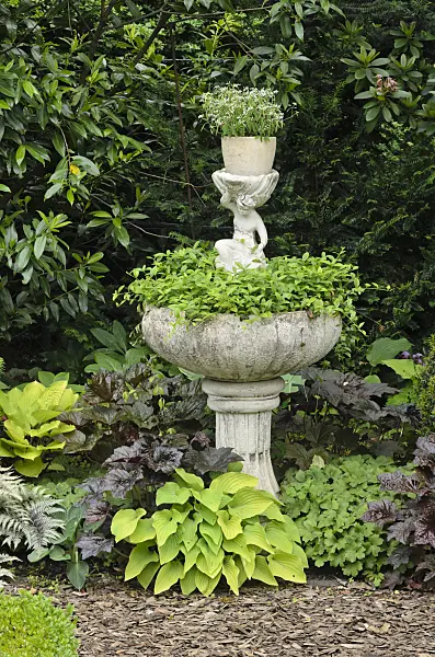 545132 - Alumroots (Heuchera) and plantain lilies (Hosta) at a fountain