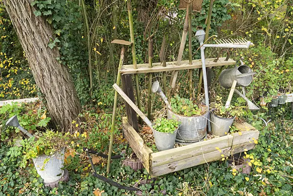 625097 - Arrosoirs en tôle plantés et autres outils de jardinage