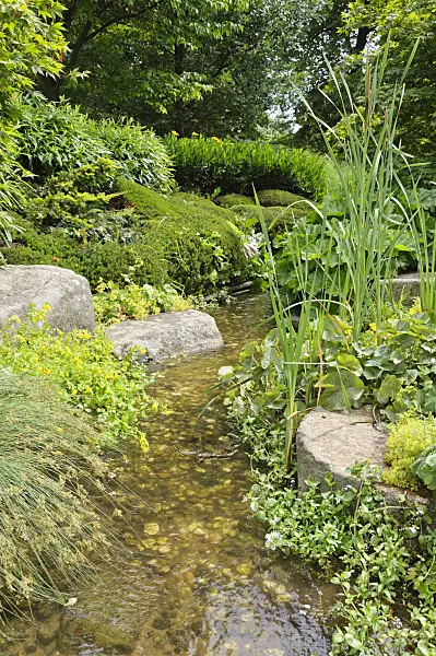 486040 - Artificial brook in a natural garden
