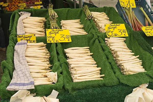 545106 - Asparagus officinalis