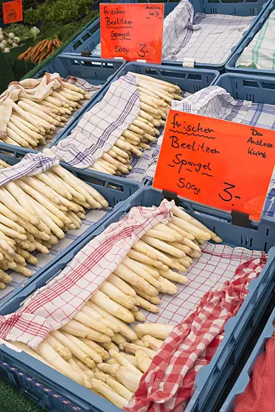 545110 - Asparagus officinalis