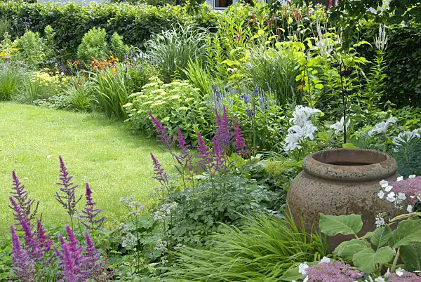 456001 - Astilbe (Astilbe), long-leaved speedwell (Veronica longifolia) and orpine (Sedum telephium 'Herbstfreude' syn. Hylotelephium telephium 'Herbstfreude') with clay vase