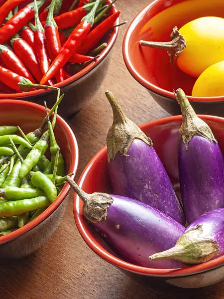 436037 - Aubergine (Solanum melongena) and chili pepper (Capsicum)