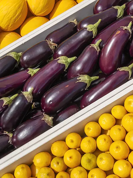 403038 - Aubergine (Solanum melongena) and lemon (Citrus limon)