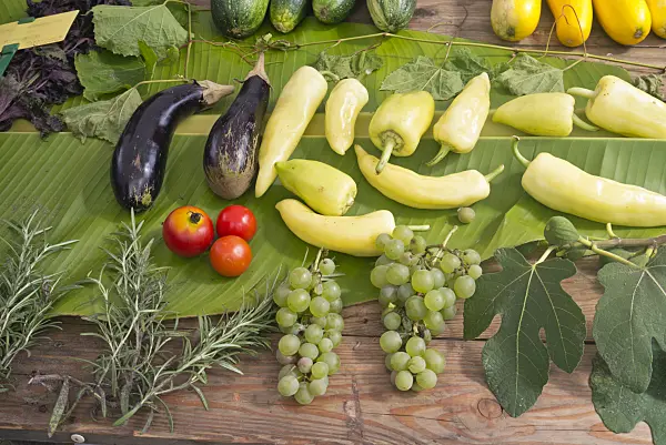 573083 - Aubergines (Solanum melongena), tomatoes (Lycopersicon esculentum), sweet peppers (Capsicum) and grape vines (Vitis vinifera)