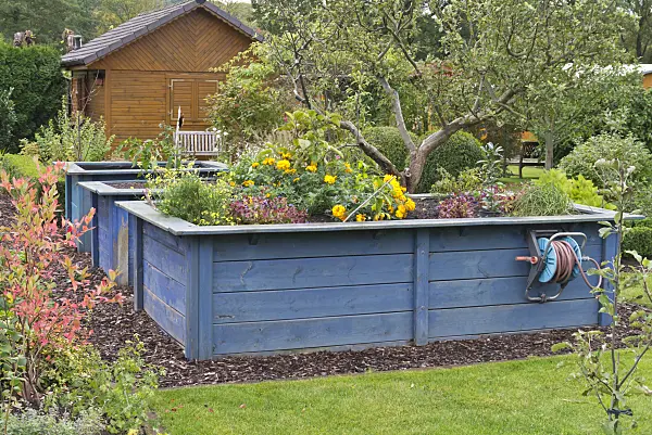 573118 - Autumn garden with high beds made of blue boarding and wooden arbour