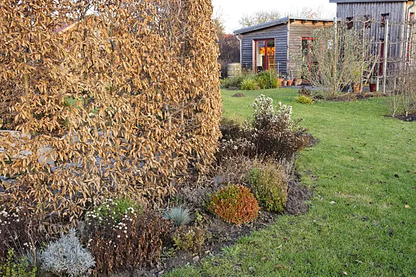467060 - Autumnal allotment garden