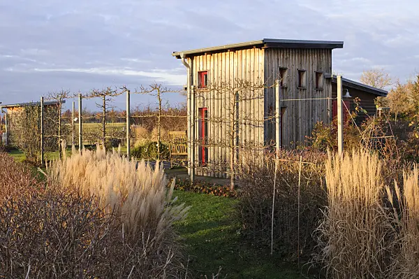 467062 - Autumnal allotment garden