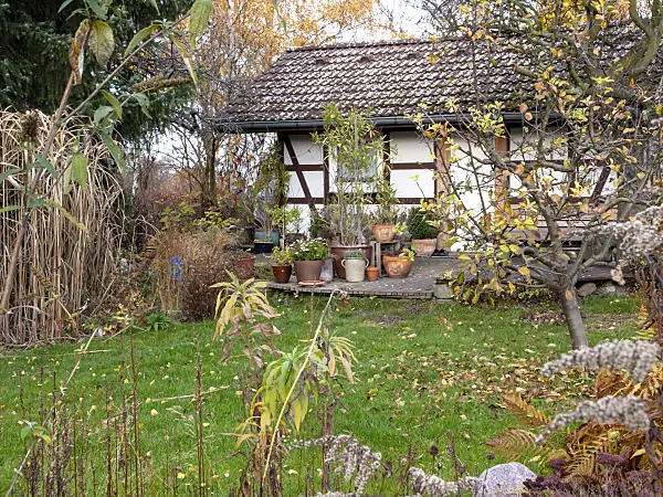 478075 - Autumnal allotment garden