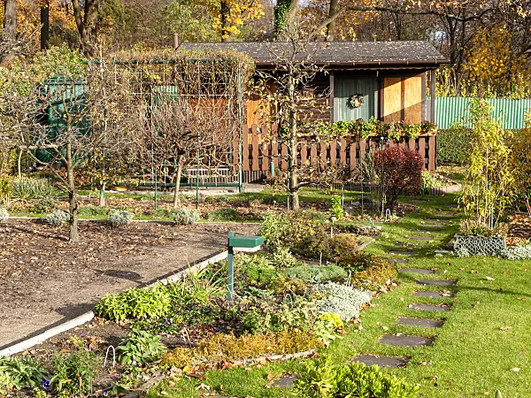 478077 - Autumnal allotment garden