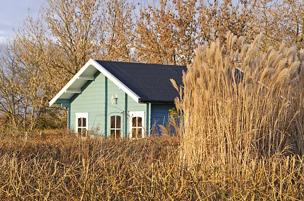 467063 - Autumnal allotment garden with blue garden house