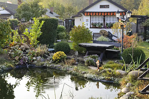 477173 - Autumnal allotment garden with garden pond