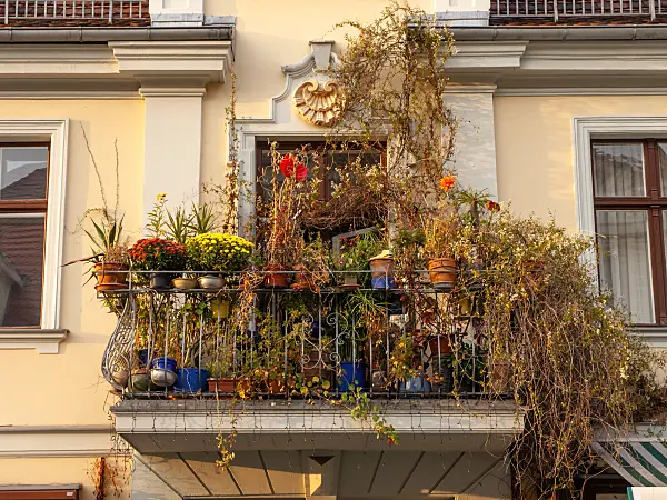 442100 - Autumnal balcony, Potsdam, Germany