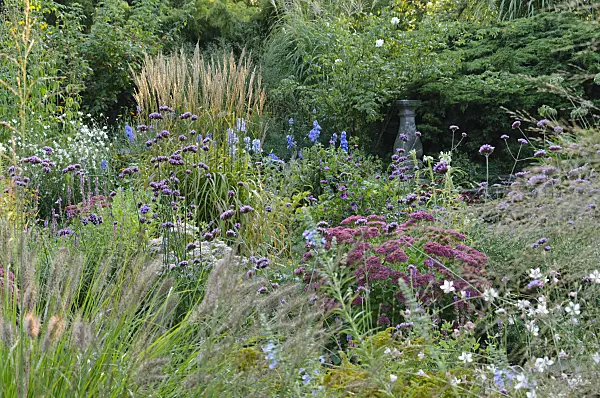 476204 - Autumnal garden