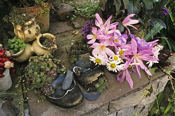 383049 - Autumnal garden decoration