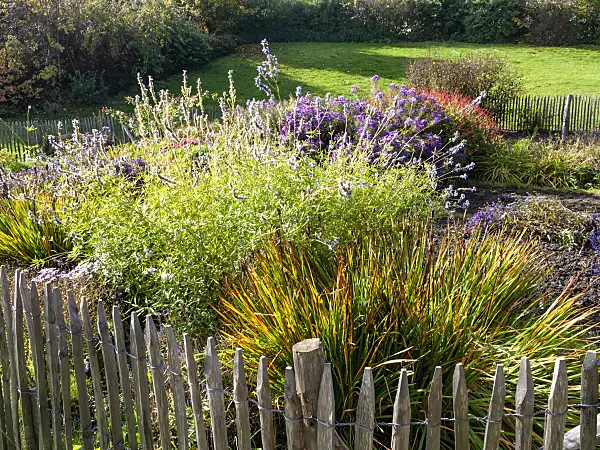465162 - Autumnal garden with wooden fence