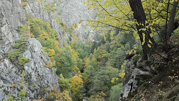 501238 - Autumnal mountain forest, Bode Valley Nature Reserve, Germany