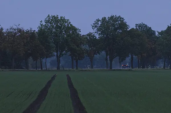 561012 - Avenue in dusk, Brandenburg, Germany