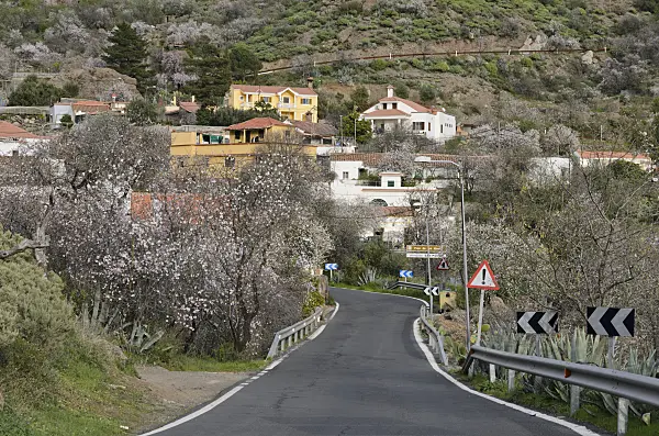 564197 - Ayacata, Gran Canaria, Spain