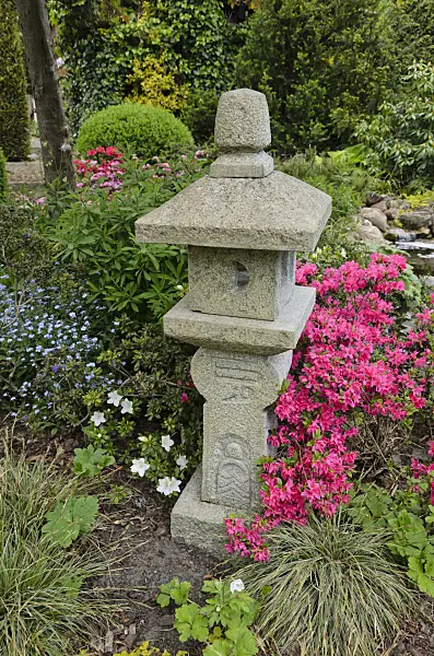 544123 - Azalée (Rhododendron) avec une lanterne en pierre