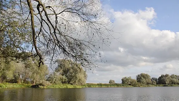 501024 - Back water of Oder River, Lower Oder Valley National Park, Germany