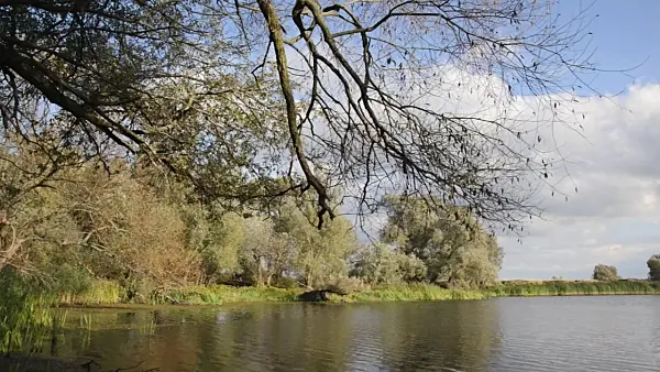 501025 - Back water of Oder River, Lower Oder Valley National Park, Germany